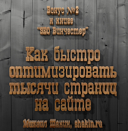 Второй бонус к SEO Винчестеру